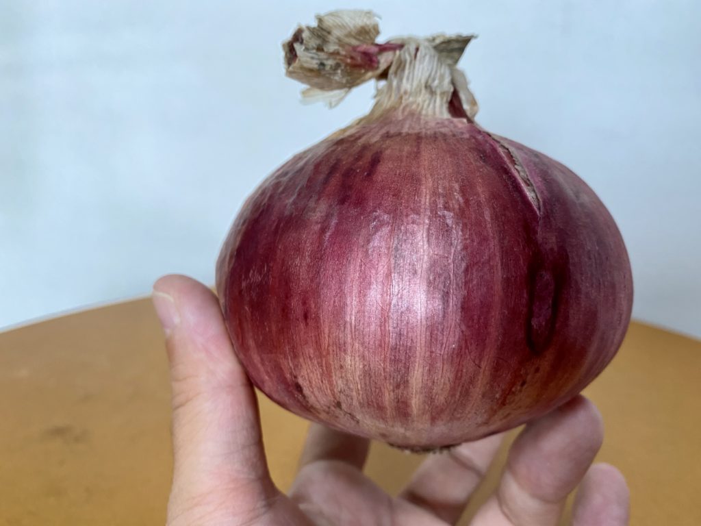 坂ノ途中　赤玉ねぎ